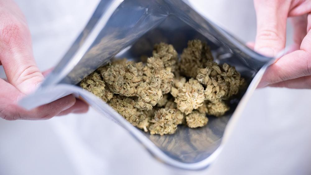 Cannabis: Medizinalcannabis wird als Medikament zum Beispiel bei chronischen Schmerzen eingesetzt.