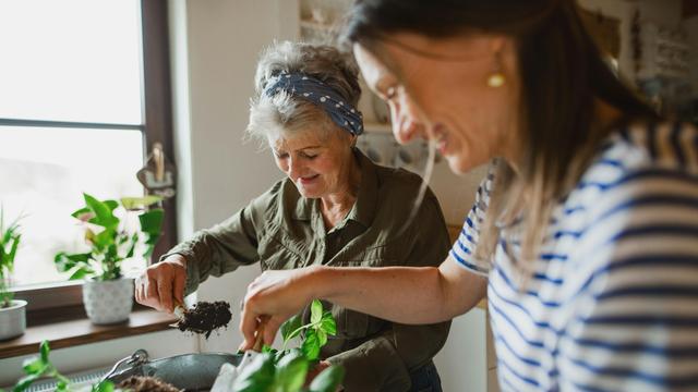Rentensystem: Arbeitgeberpräsident fordert von CSU Verzicht auf geplante Mütterrente