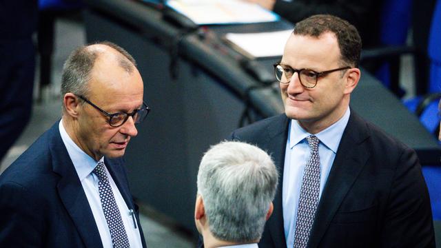 Friedrich Merz: Der Fehler liegt im System Merz
