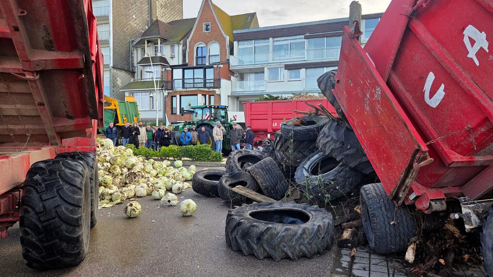 Mercosur deal industry