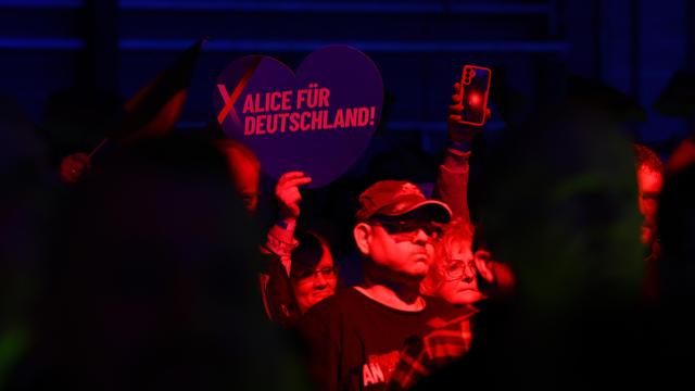 (+) AfD-Wahlprogramm: Wie die AfD Sachsen-Anhalt umbauen will