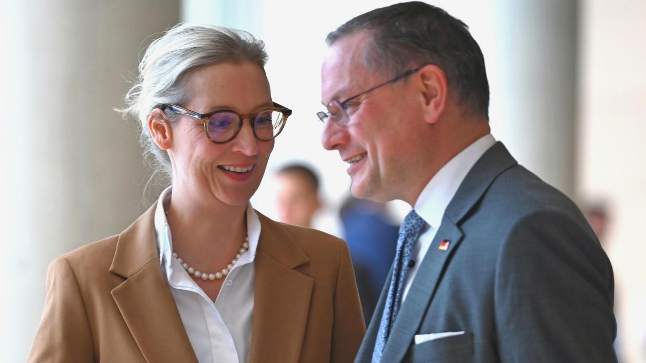 AfD und USA: AfD-Spitze geht auf Distanz zu Trumps Außenpolitik