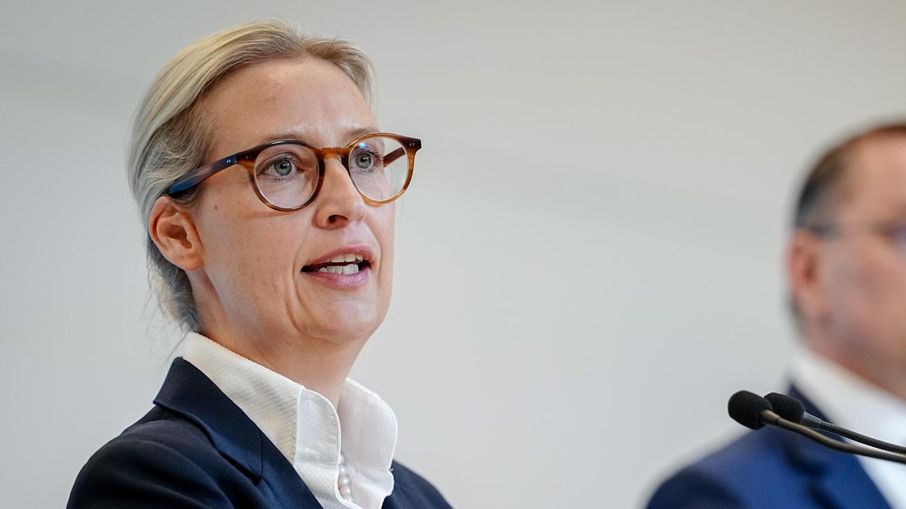 AfD: AfD-Spitze wirft Vorwürfe der Vetternwirtschaft zurück