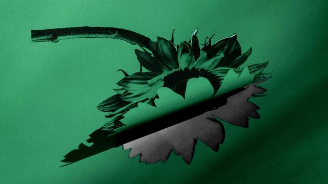 (+) Landtagswahl in Baden-Württemberg: Die Euphorie ist erstickt