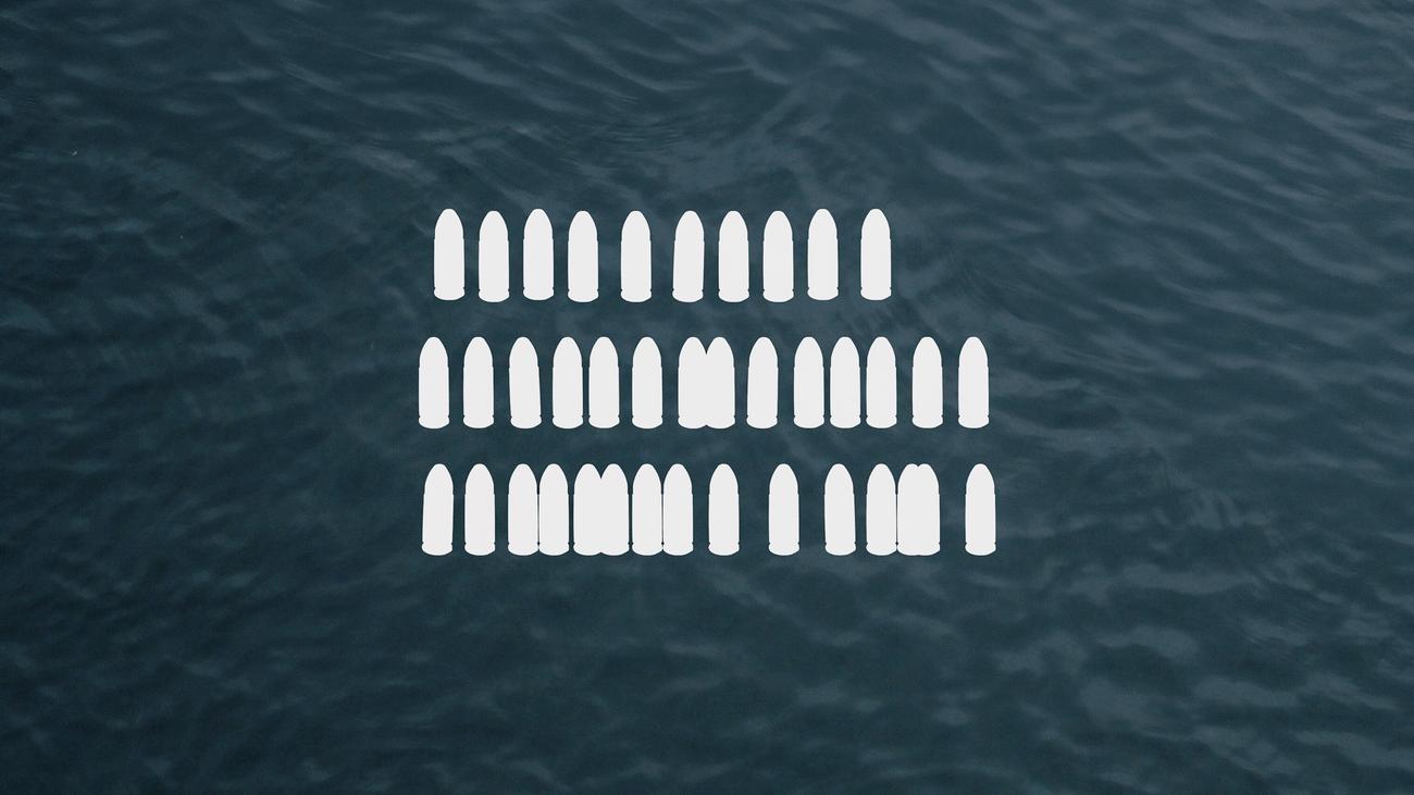 Geplanter Anschlag in Berlin: Mutmaßlicher Hamas-Terrorist war V-Mann des Verfassungsschutzes