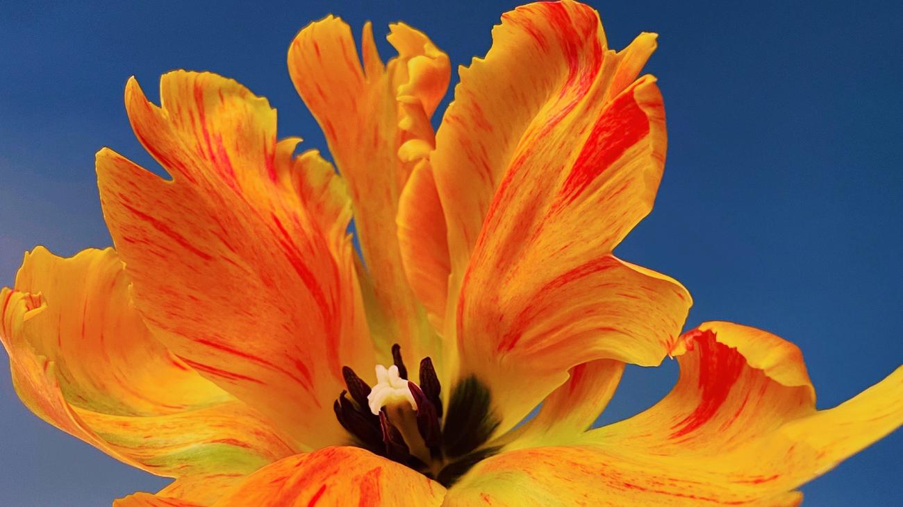 Ostern und Pessach: Auf das Leben!