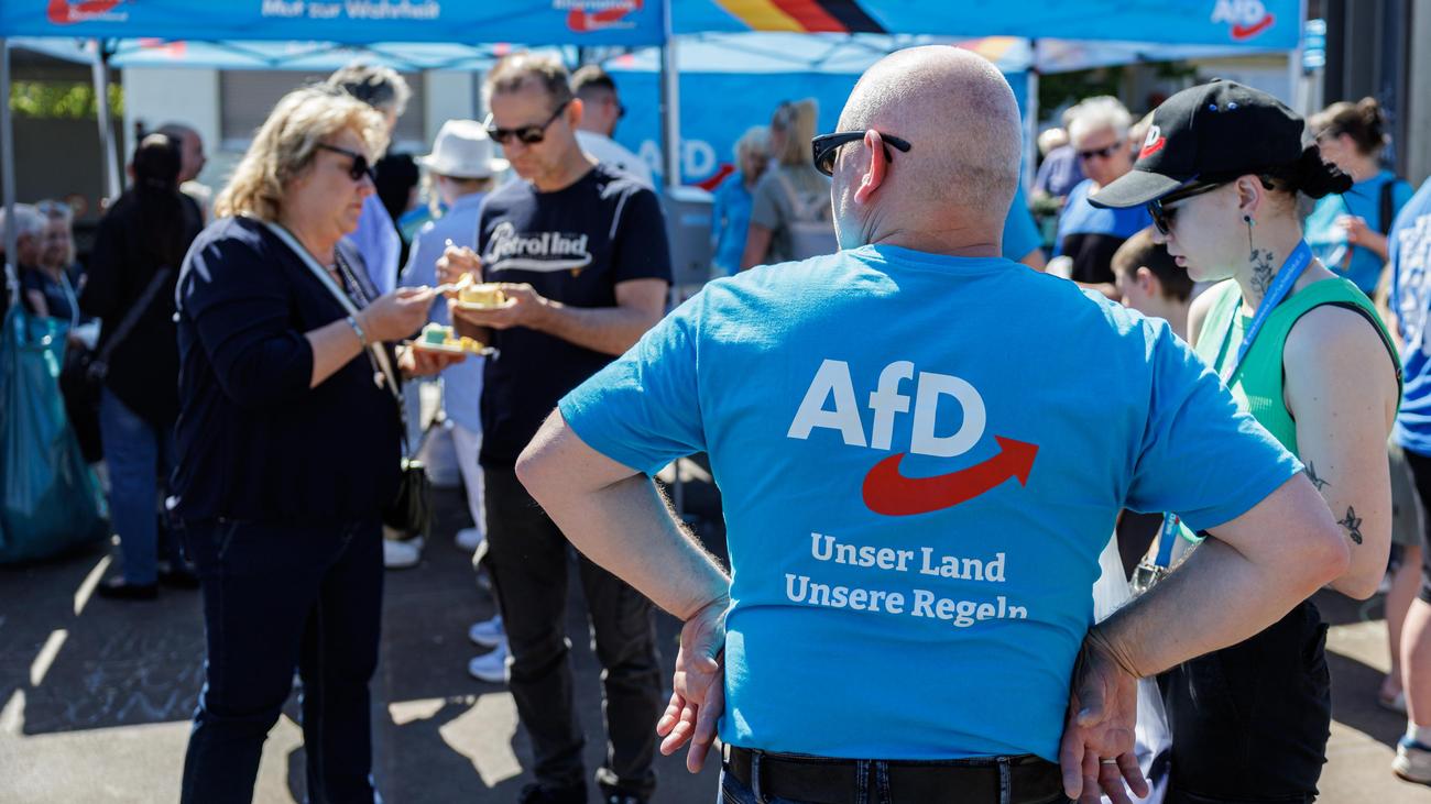 AfD baut Vorsprung in Sachsen-Anhalt aus – CDU verliert weiter — image 2