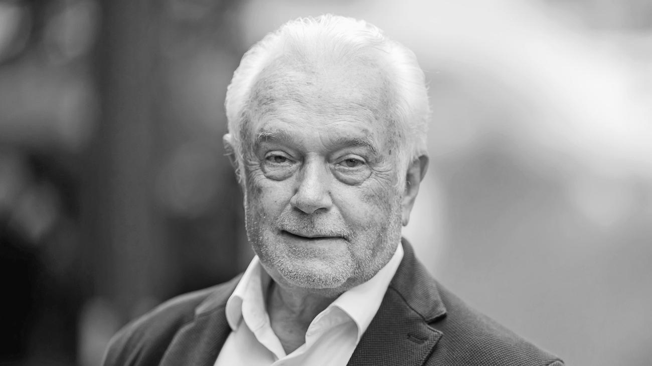 FDP-Spitze: Kann Kubicki wirklich die FDP retten?