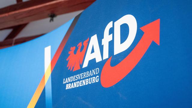 AfD in Brandenburg: AfD-Kandidatin wird Ortsvorsteherin in Gemeinde bei Berlin