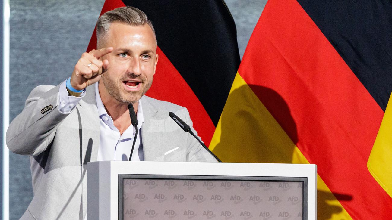 AfD-Parteitag in Sachsen-Anhalt: AfD-Spitzenkandidat Siegmund wirft anderen Parteien »Fake News« vor