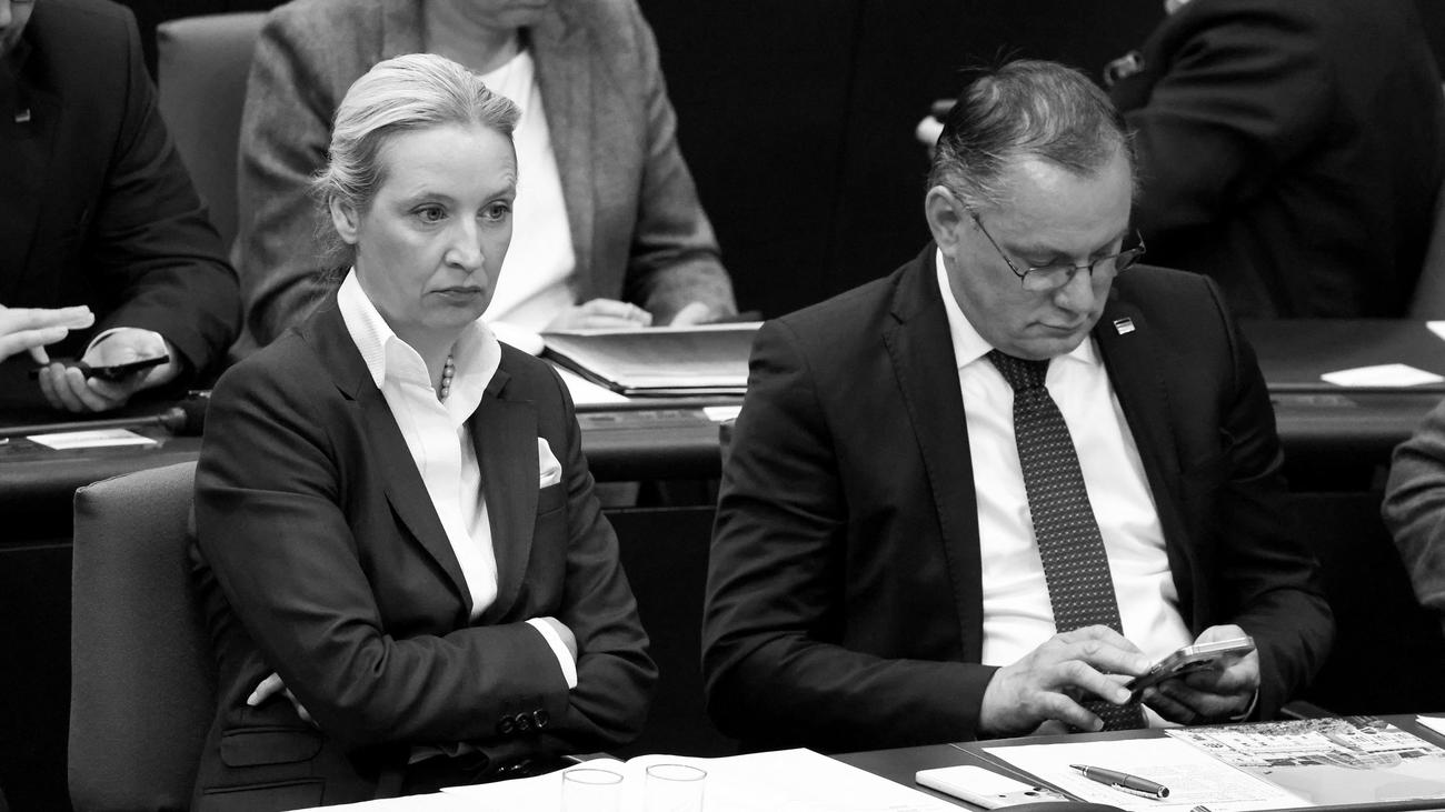 AfD-Parteitag: AfD-Parteitag: Streit trotz Umfragehoch