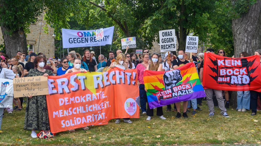AfD Sachsen-Anhalt Wahlkampf Magdeburg Demonstrationen
