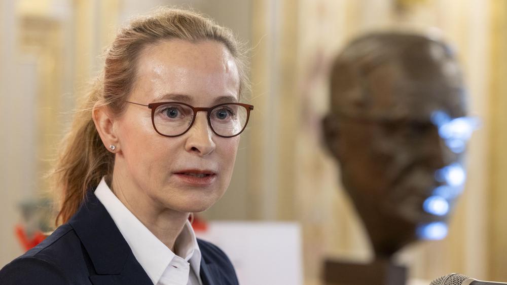 Frauke Brosius-Gersdorf Doktorarbeit Plagiat Universität Hamburg SPD Bundesverfassungsgericht