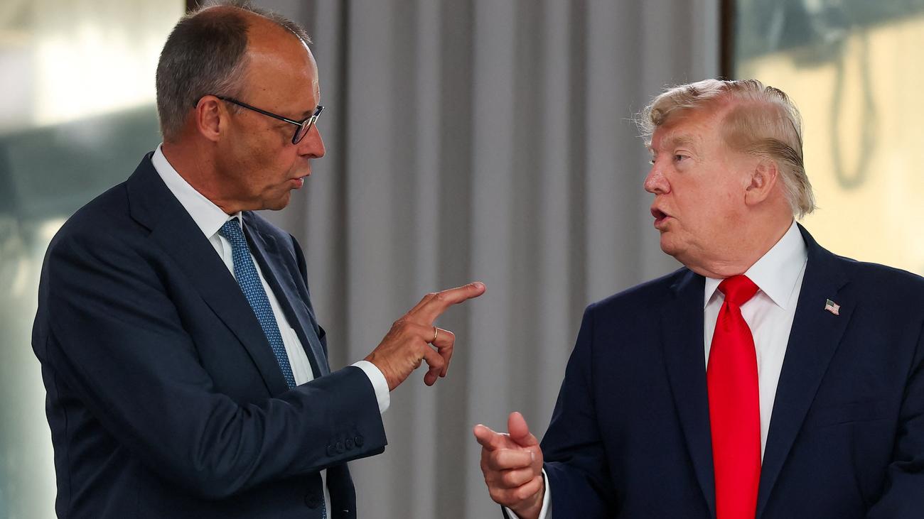 Friedrich Merz und Donald Trump: Merz betont gegenüber Trump Deutschlands Verteidigungsbemühungen