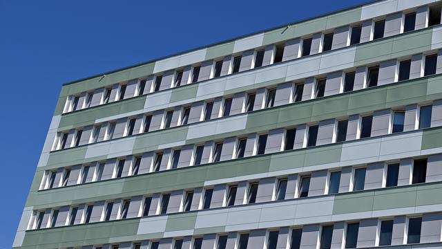 Bafög: Linke kritisiert geplante Bafög-Reform