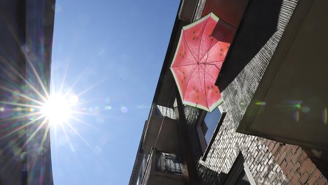 Extremwetter: Bundesumweltministerium erwägt nationalen Aktionsplan gegen Hitze