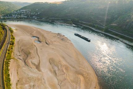 Niedrigwasser Rhein Bonn Binnenschifffahrt Steffen Bilger