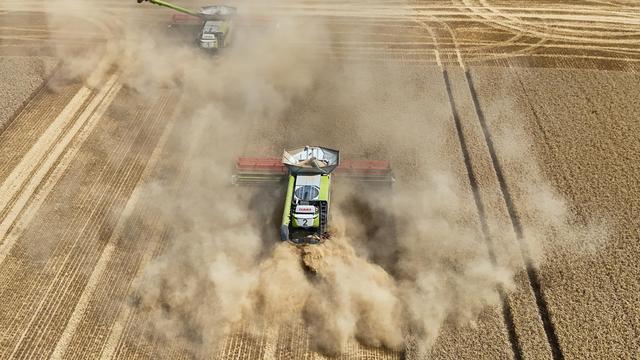 Trockenheit: Bauernverband geht von erheblichen Ernteausfällen aus