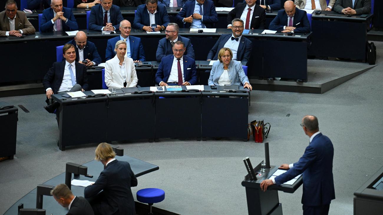 AfD und Friedrich Merz: AfD will Merz wegen »verleumderischer Beleidigung« anzeigen