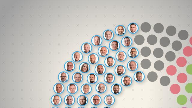AfD in Sachsen-Anhalt: Diese 39 AfDler kommen jetzt in den Magdeburger Landtag