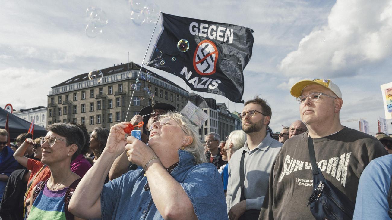 Demonstrationen gegen die AfD: »Ich weiß nicht so genau, ob dieser Protest sich lohnt«