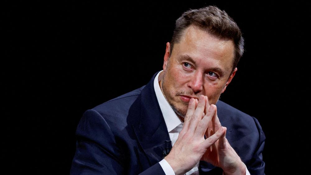 Elon Musk AfD Ulrich Siegmund Sachsen-Anhalt