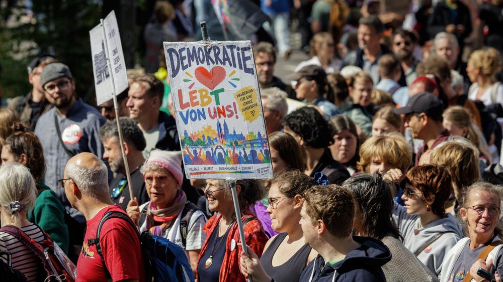 repräsentative Demokratie direkte Demokratie politische Mitsprache AfD Bürgerbeteiligung Forsa Umfrage