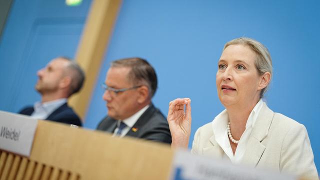Sachsen-Anhalt: Weidel strebt für Bundestagswahl »mindestens 40 Prozent« an
