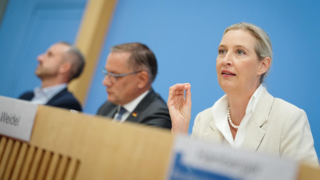 Sachsen-Anhalt: Weidel strebt für Bundestagswahl »mindestens 40 Prozent« an