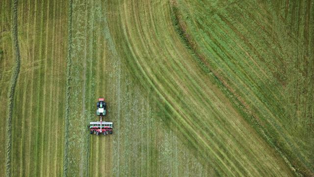 Hohe Spritpreise: Grüne und Verbraucherschützer kritisieren neuen Tankrabatt