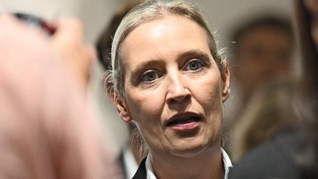 AfD: AfD-Spitze kündigt lückenlose Aufklärung von E-Mail-Leak an