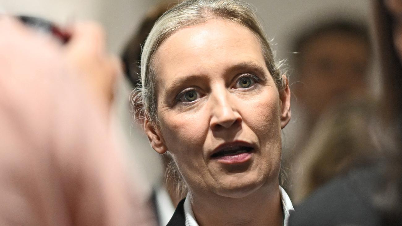 AfD: AfD leadership announces full investigation into email leak