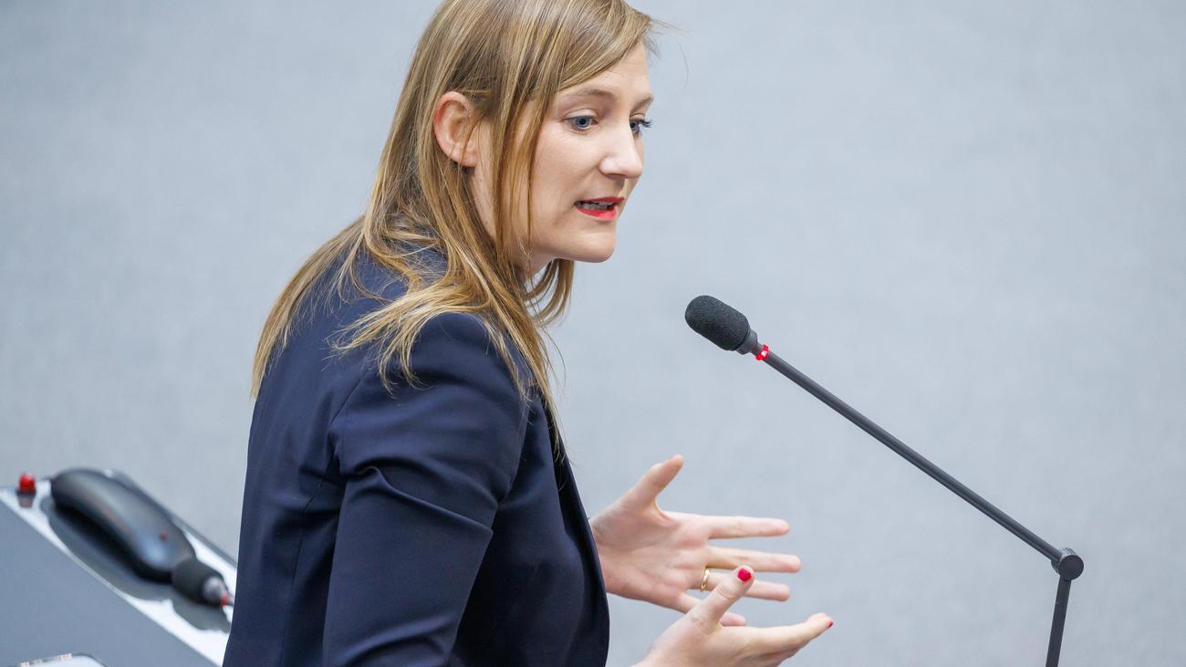 Cyberattack on the AfD: SPD Politician Calls for Analysis of AfD Emails ...