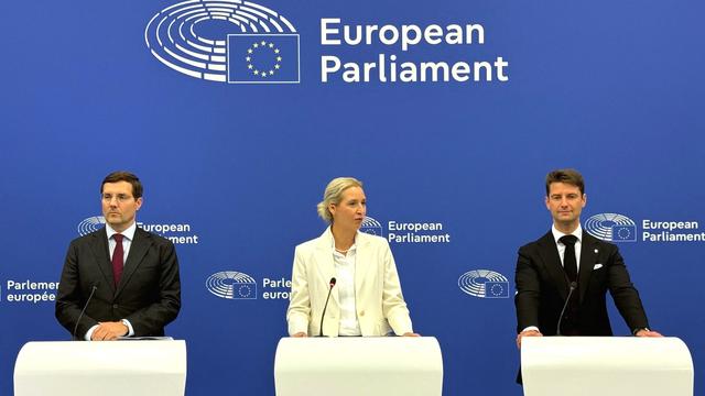 Europaparlament: AfD fordert umfangreichen Umbau der EU