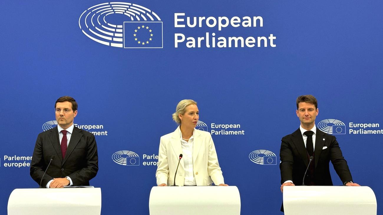 European Parliament: AfD demands extensive restructuring of the EU
