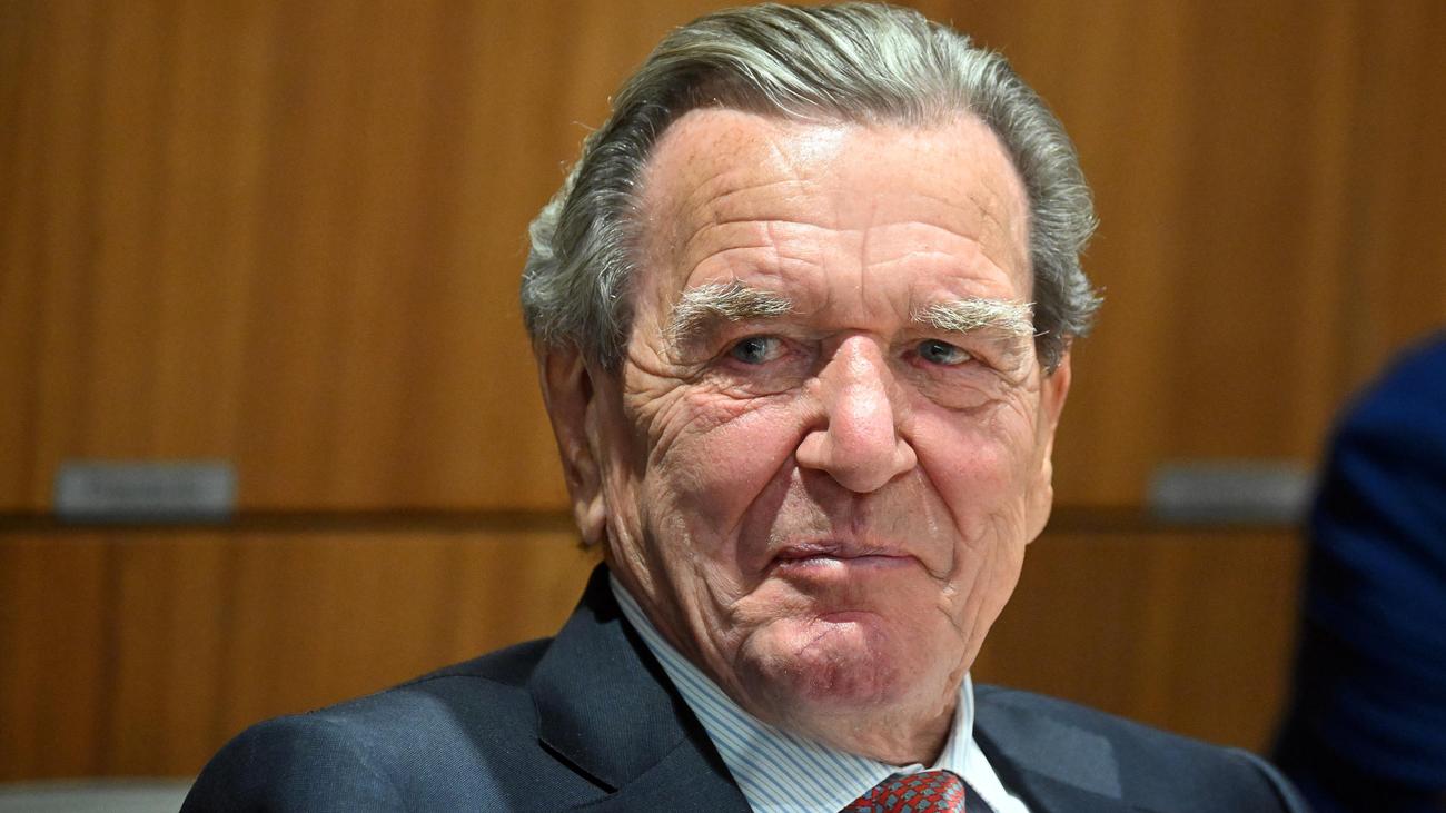 Besuch bei Putin: SPD-Politiker fordern Parteiausschluss von Gerhard ...