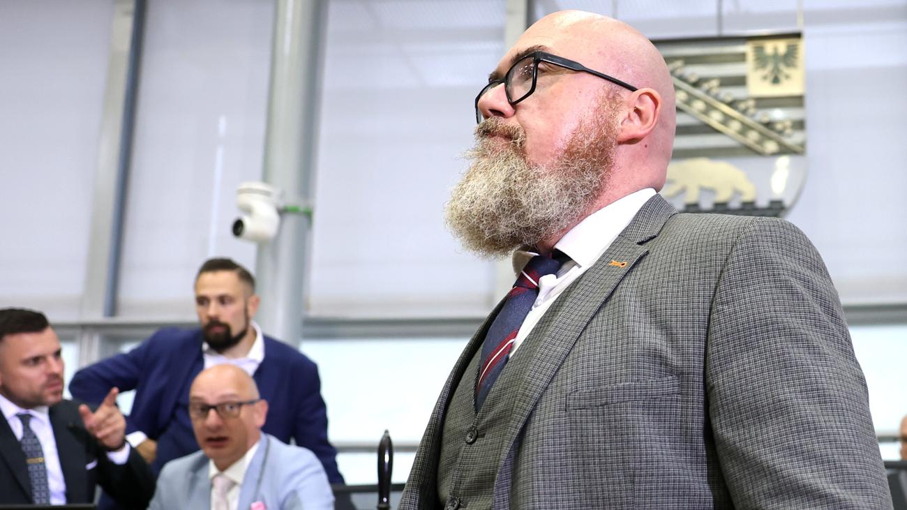 Landtag Sachsen-Anhalt: AfD-Politiker Hans-Thomas Tillschneider ist ...