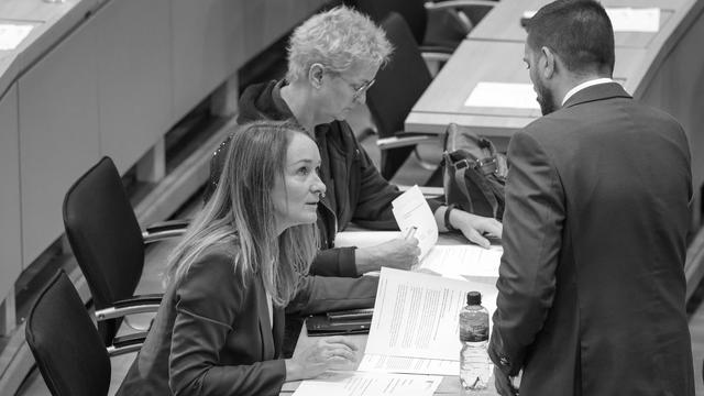 Sachsen-Anhalt: Der erste AfD-Beschluss – mit Hilfe des BSW