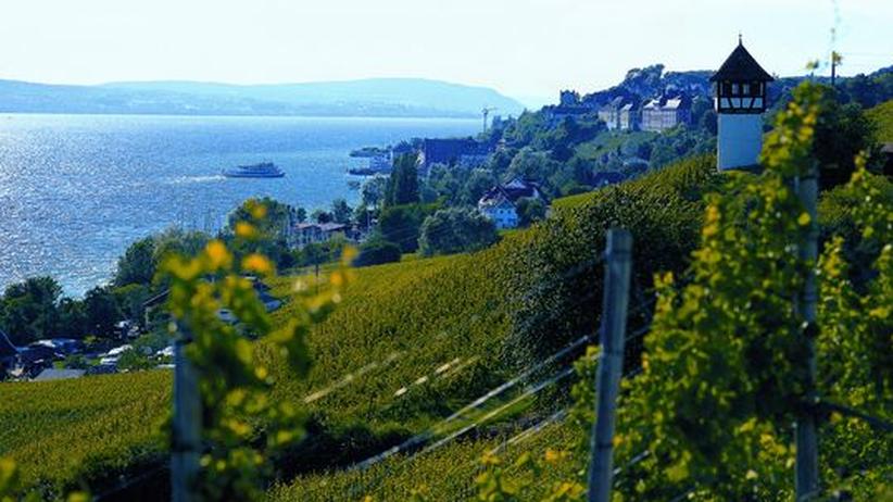 Sie sucht ihn am bodensee