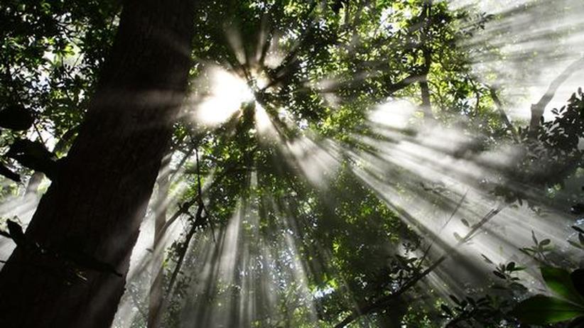 Partnersuche costa rica