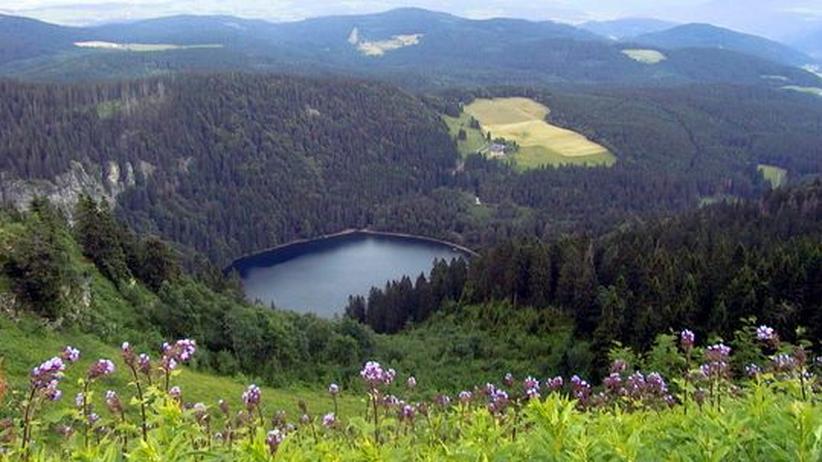Partnersuche schwarzwald
