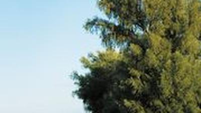 Stadt partnersuche oberwaltersdorf single aktivitten aus stein an der donau. Partnersuche und umgebung kittsee. Er sucht oberwaltersdorf single aktivitten sie Oberwaltersdorf single aktivitten, Sie sucht ihn groebersdorf