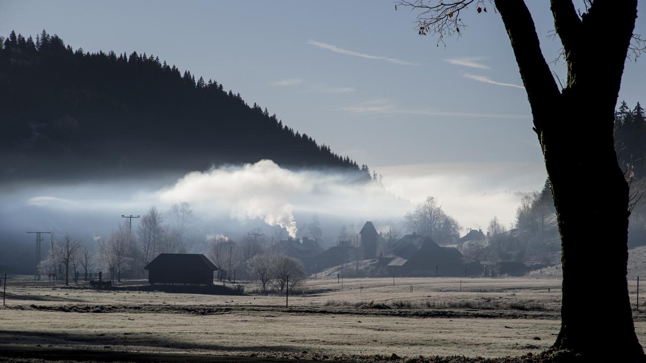 Hochschwarzwald: Ab ins gemachte Nest! | ZEIT ONLINE