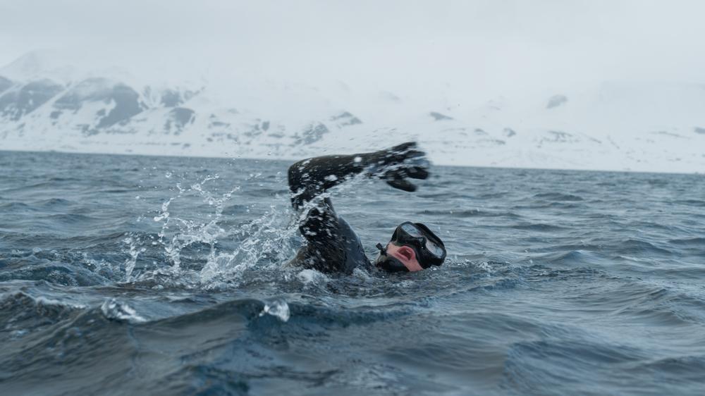 Triathlon in der Antarktis: "Wer kann schon am Gefrierpunkt im Wasser schwimmen?"