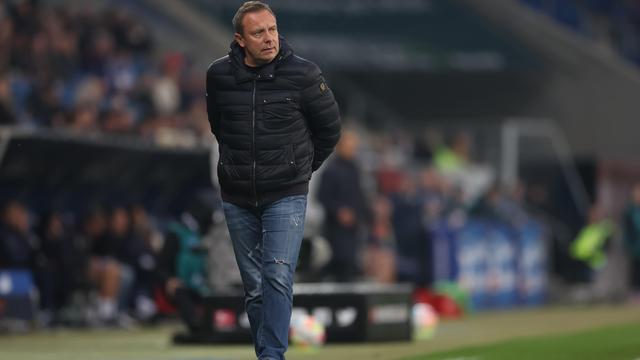 Fußball-Bundesliga: TSG Hoffenheim trennt sich von André Breitenreiter