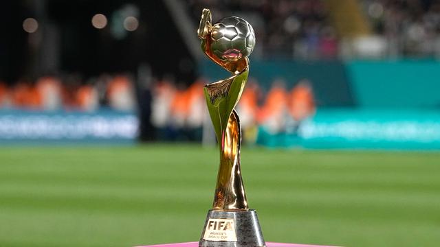 Fußballweltmeisterschaft: Fifa bewertet deutsche WM-Bewerbung schlechter als brasilianische