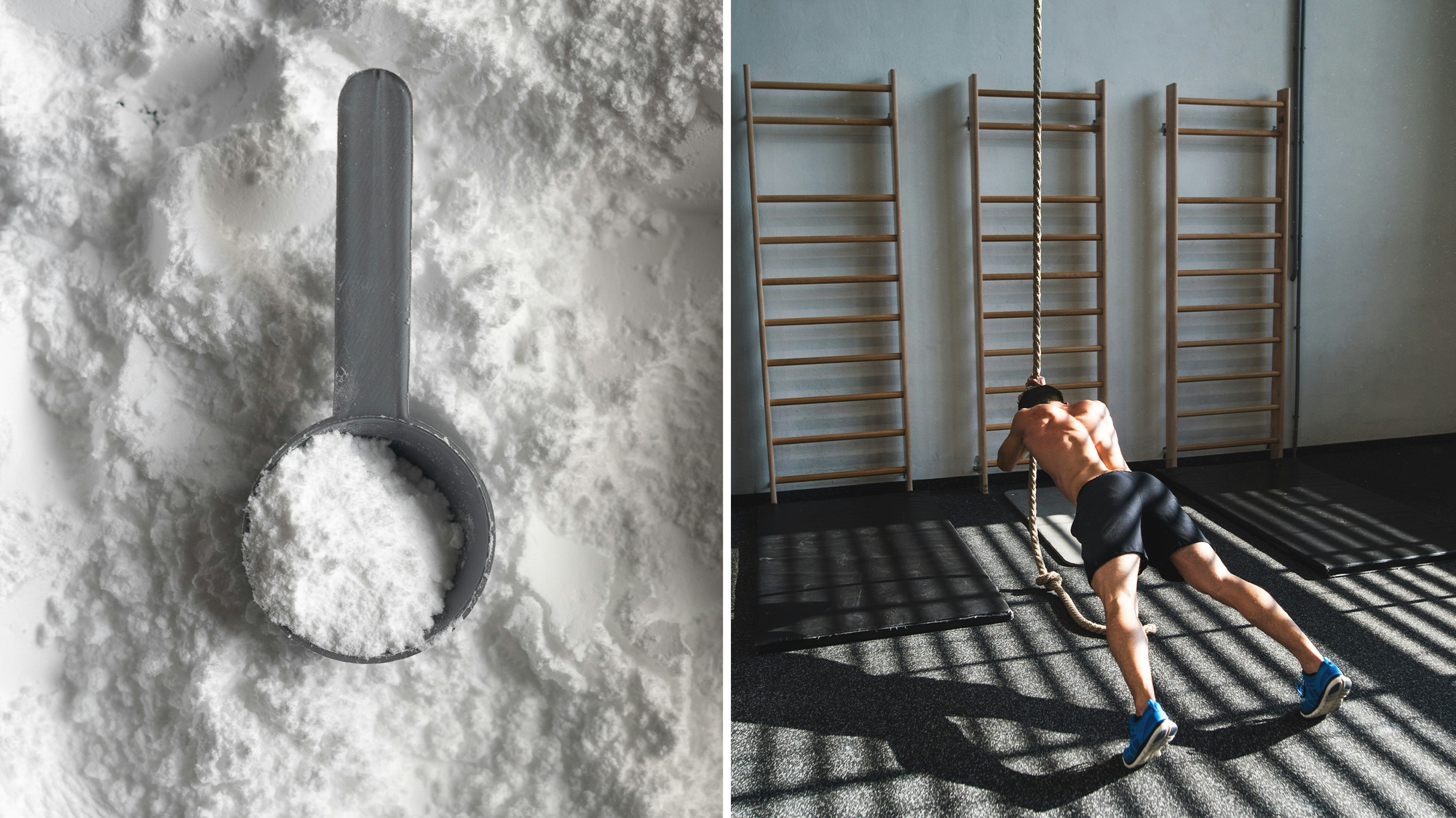 Krafttraining im Gym: Kreatin Monohydrat Wirkung auf Muskelkraft und ATP-Resynthese
