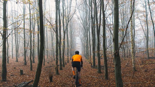 (+) Unfruchtbarkeit durch Radsport: Kann zu viel Radfahren zur Unfruchtbarkeit führen?