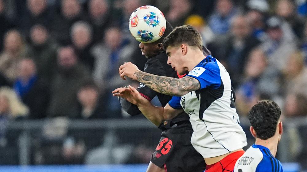 Bundesliga, Hamburger SV - Bayer Leverkusen, 17. Spieltag