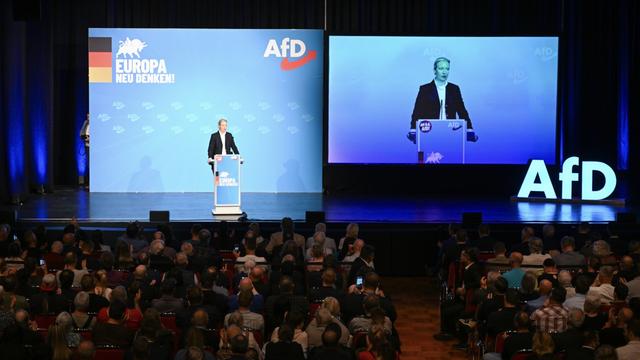 Donaueschingen: AfD läutet Europawahlkampf ein